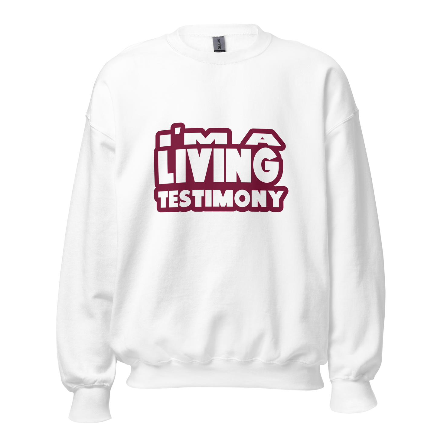 I'M A LIVING TESTIMONY